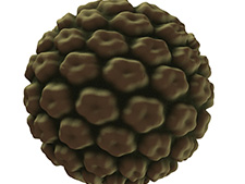 Wirus HPV