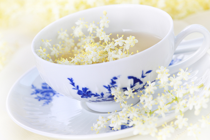 Zioła na gorączkę - herbata z kwiatu czarnego bzu