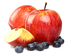 Jagody i jabłka jako podstawowe owoce w diecie Połnocnej