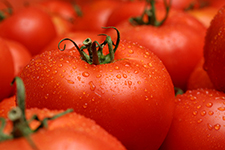 Pomidory - źródło magnezu i potasu